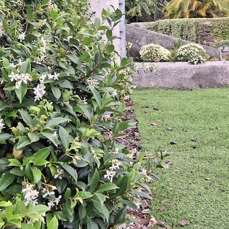 Moradia Stephanie Funchal  Exterior photo