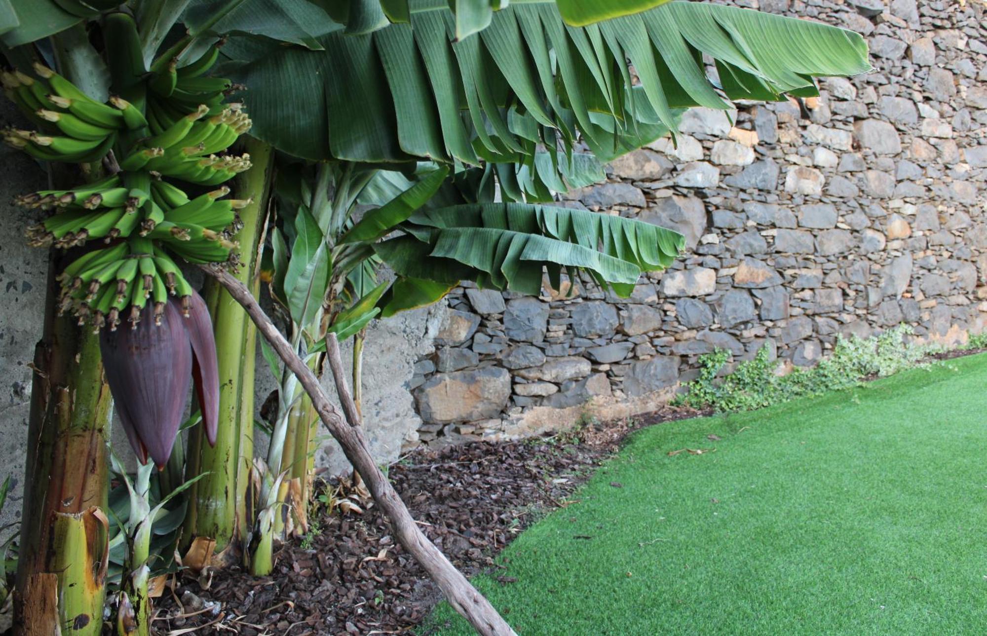 Moradia Stephanie Funchal  Exterior photo